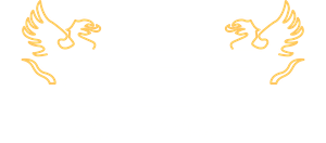 Vibe
